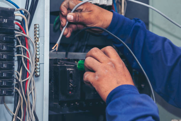 Best Electric Panel Repair  in Sterling City, TX
