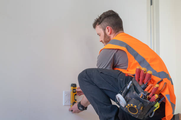 Best Ceiling Fan Installation Electrician  in Sterling City, TX